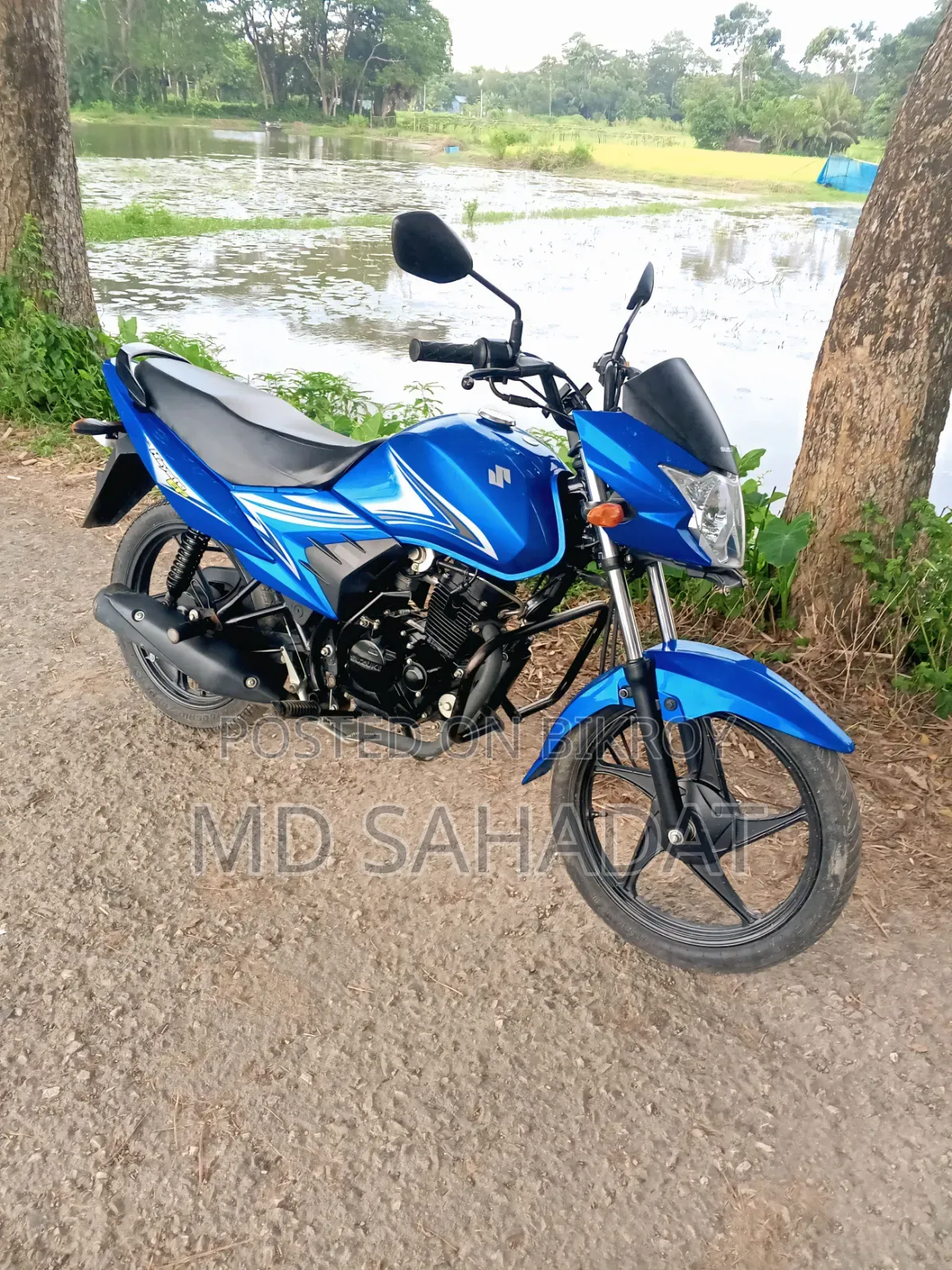 Suzuki Hayate EP 2025 Blue