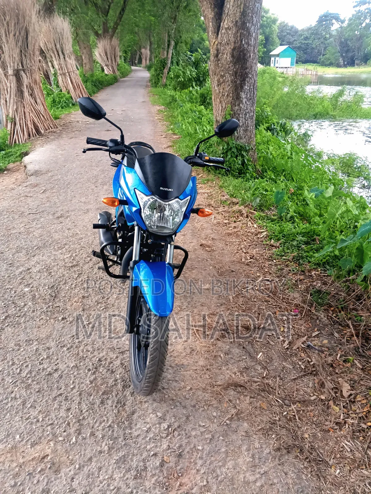 Suzuki Hayate EP 2025 Blue
