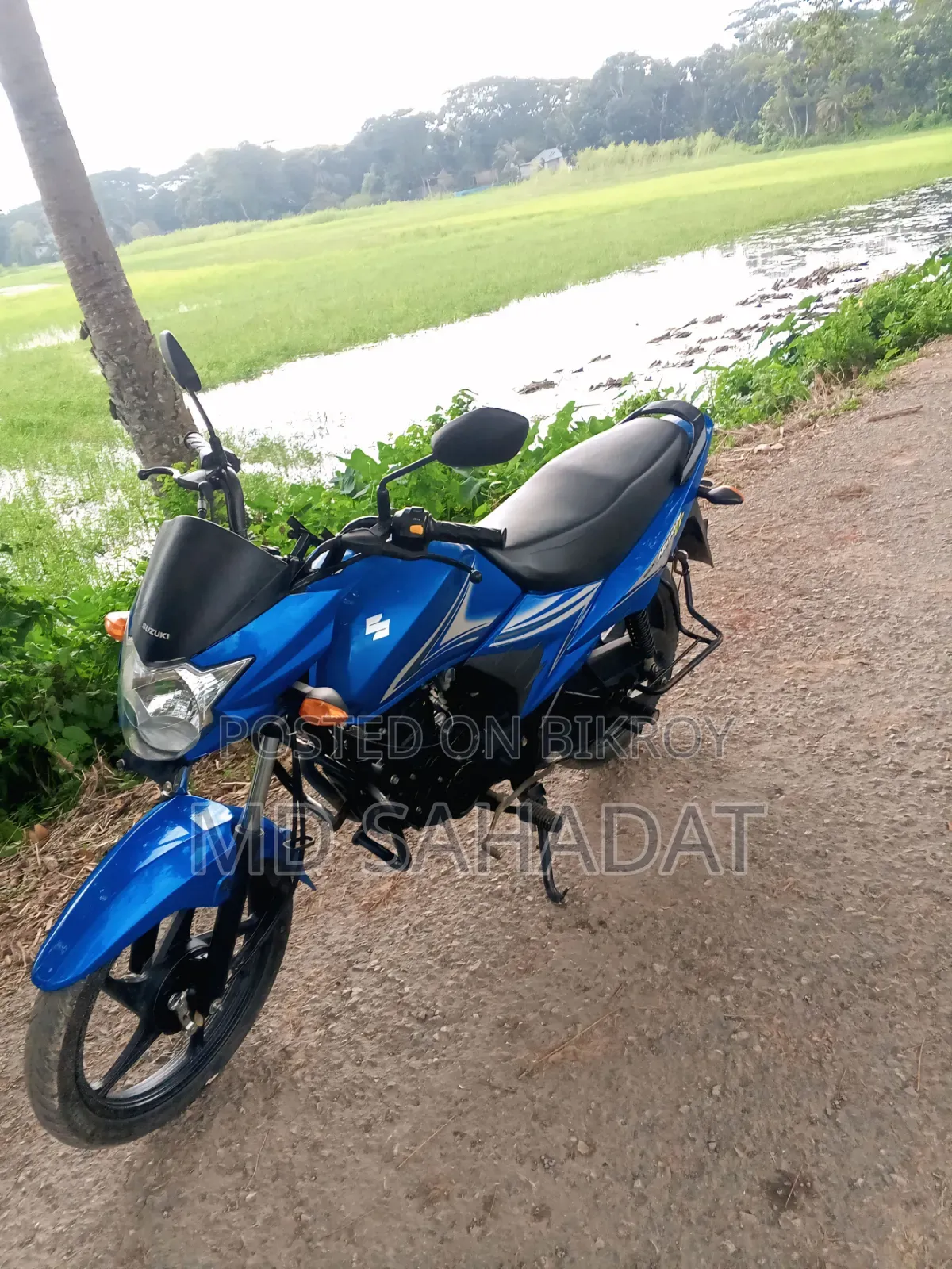 Suzuki Hayate EP 2025 Blue