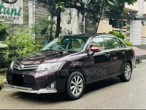Toyota Axio 2012 Maroon