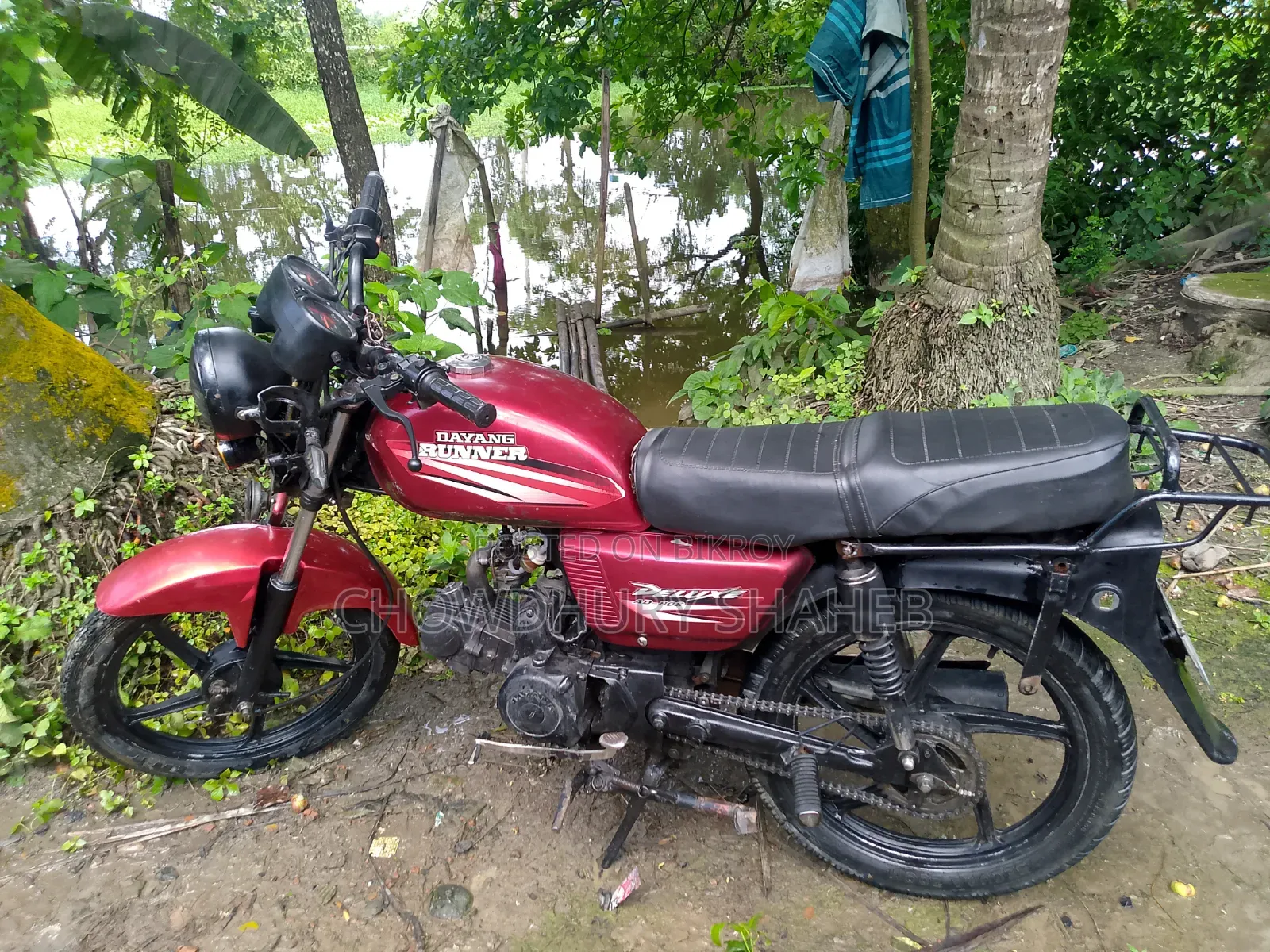 Runner AD80S-DELUXE 2019 Red