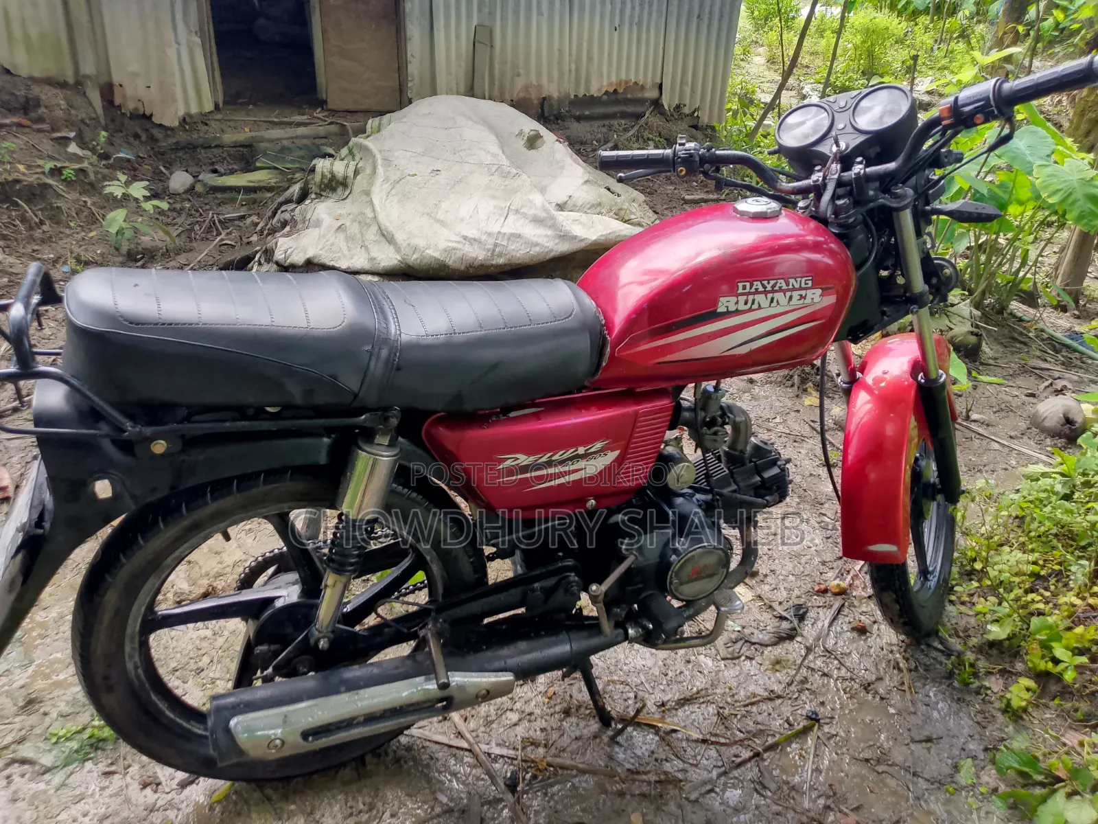 Runner AD80S-DELUXE 2019 Red