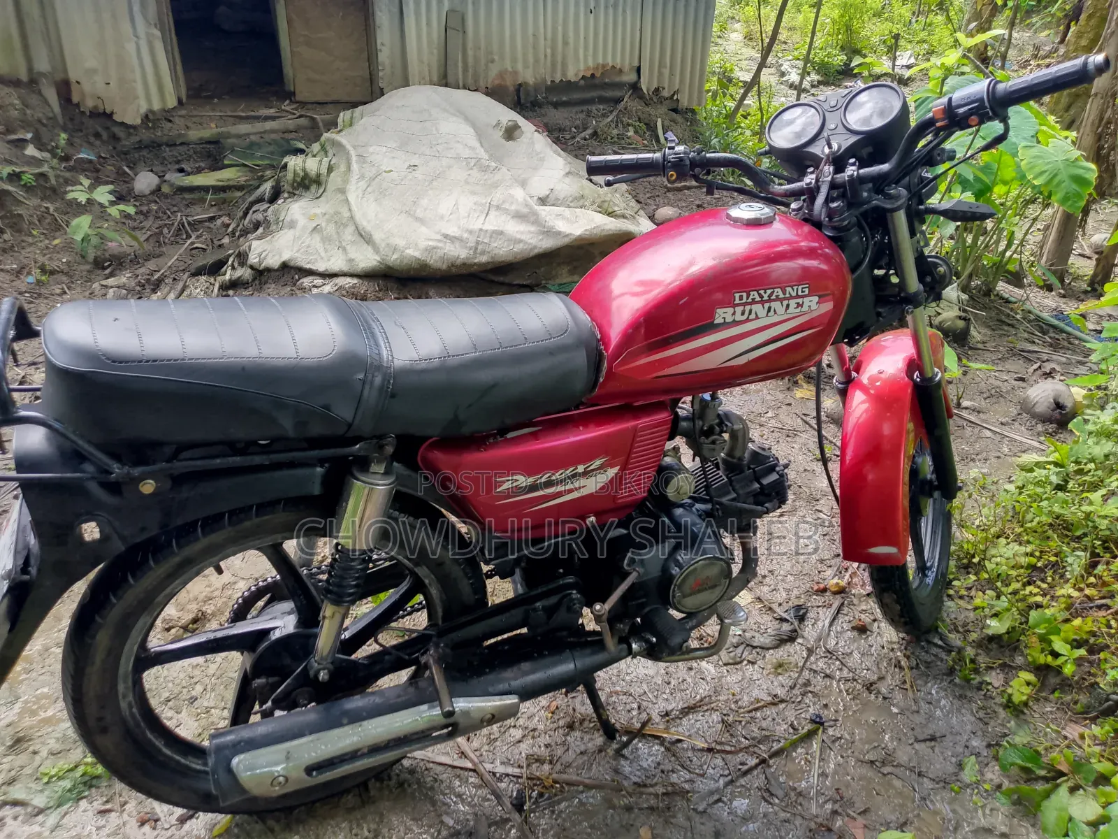 Runner AD80S-DELUXE 2019 Red