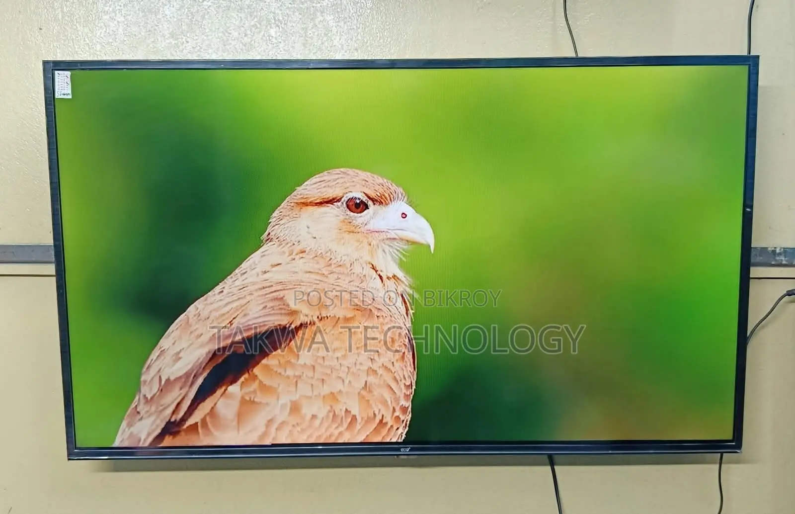 Eco Plus 43"Inche Smart Framelss Voice Control TV