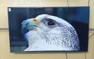 Eco Plus 43"Inche Smart Framelss Voice Control TV