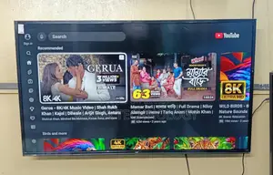 Eco Plus 43"Inche Smart Framelss Voice Control TV