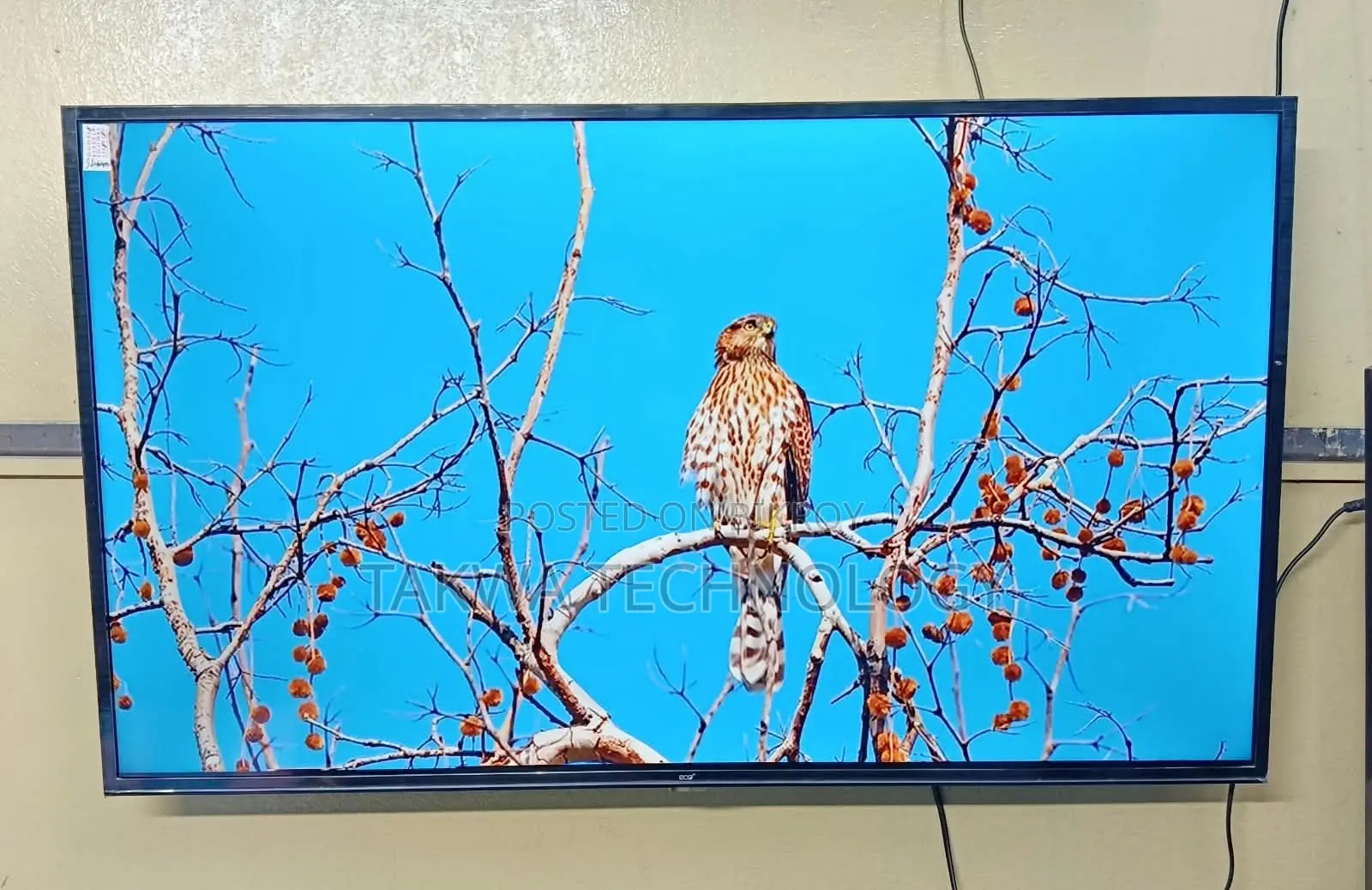 Eco Plus 43"Inche Smart Framelss Voice Control TV
