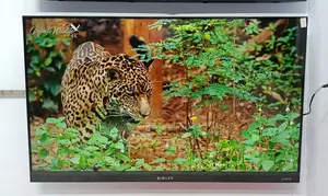 SINGER 50"Inche Smart Android 4K Framless Voice Control TV