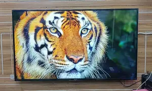Sony Bravia 55"Inche Android 4K Voice Control TV
