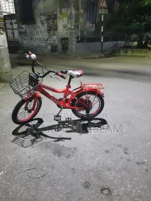 শিশুদের জন্য ফিনিক্স সাইকেল