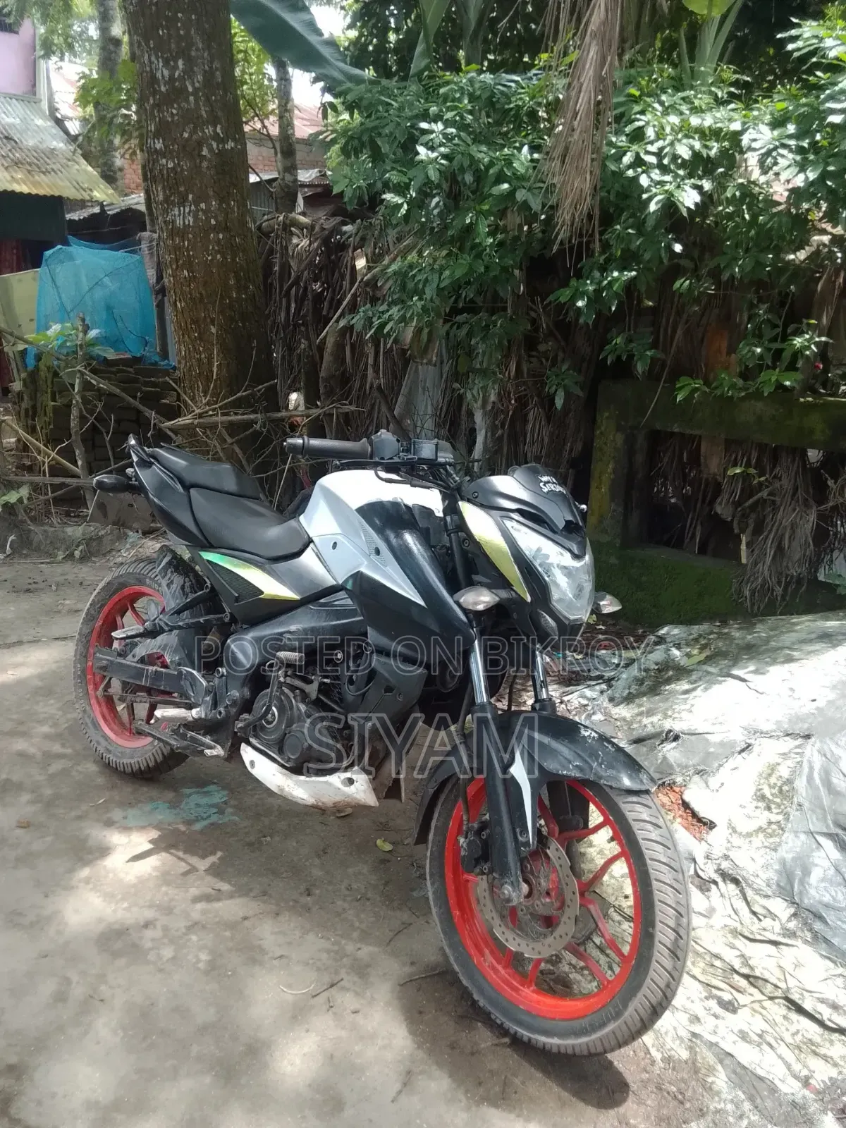 Bajaj Pulsar NS 160 2020 White