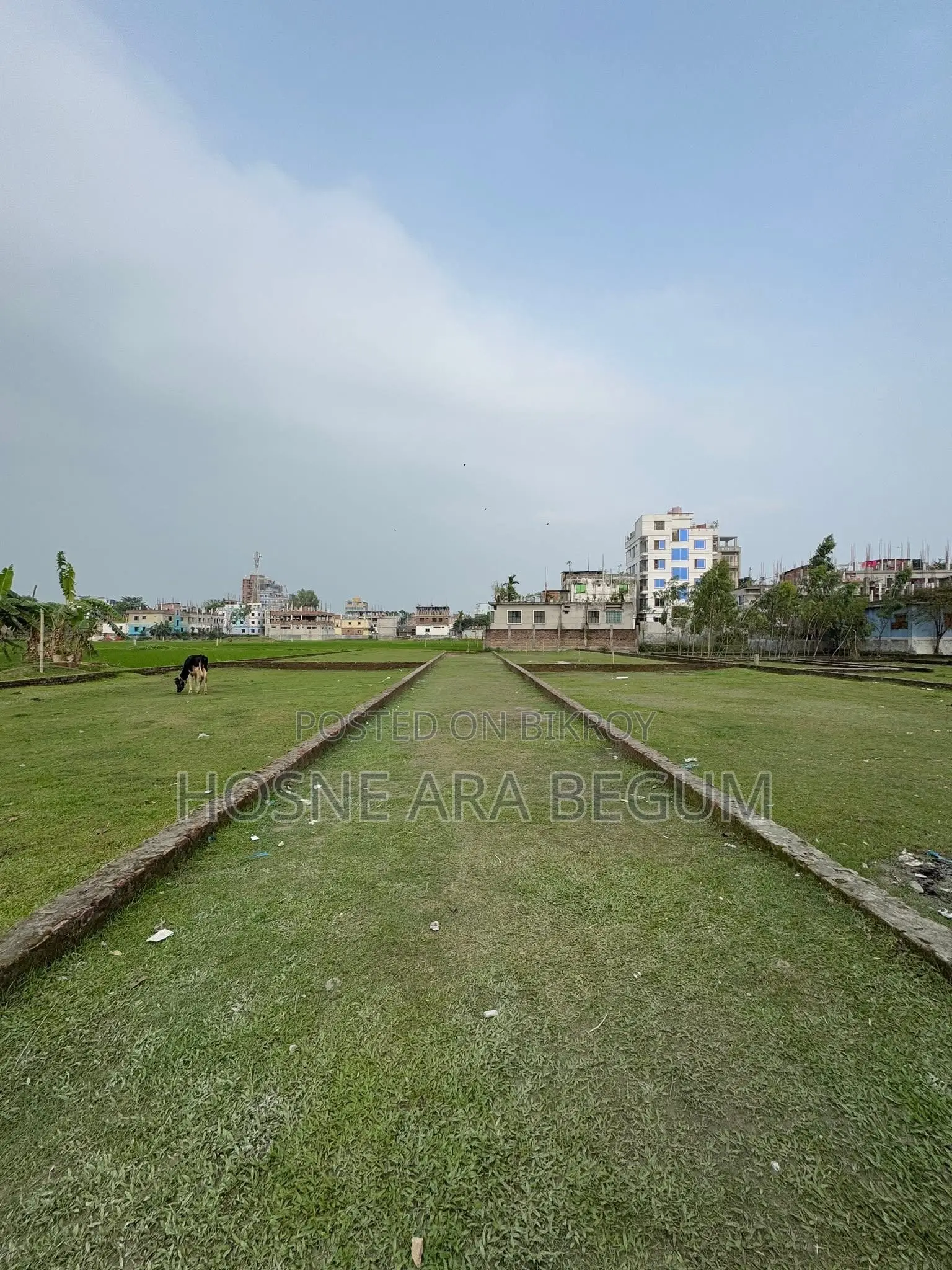 7 Decimal Land for Sale in Rangpur