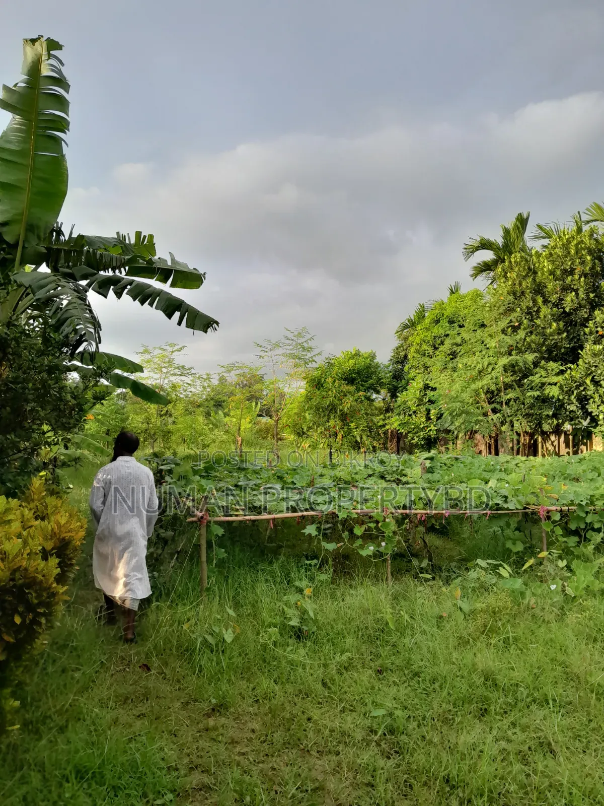 2bdrm Villa in Jalshiri Abason for rent
