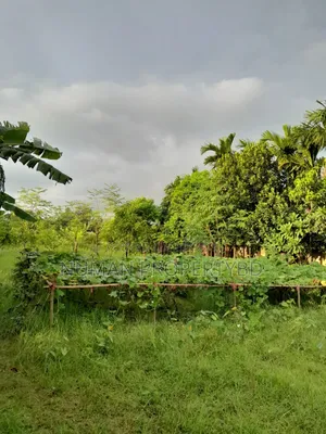 2bdrm Villa in Jalshiri Abason for rent