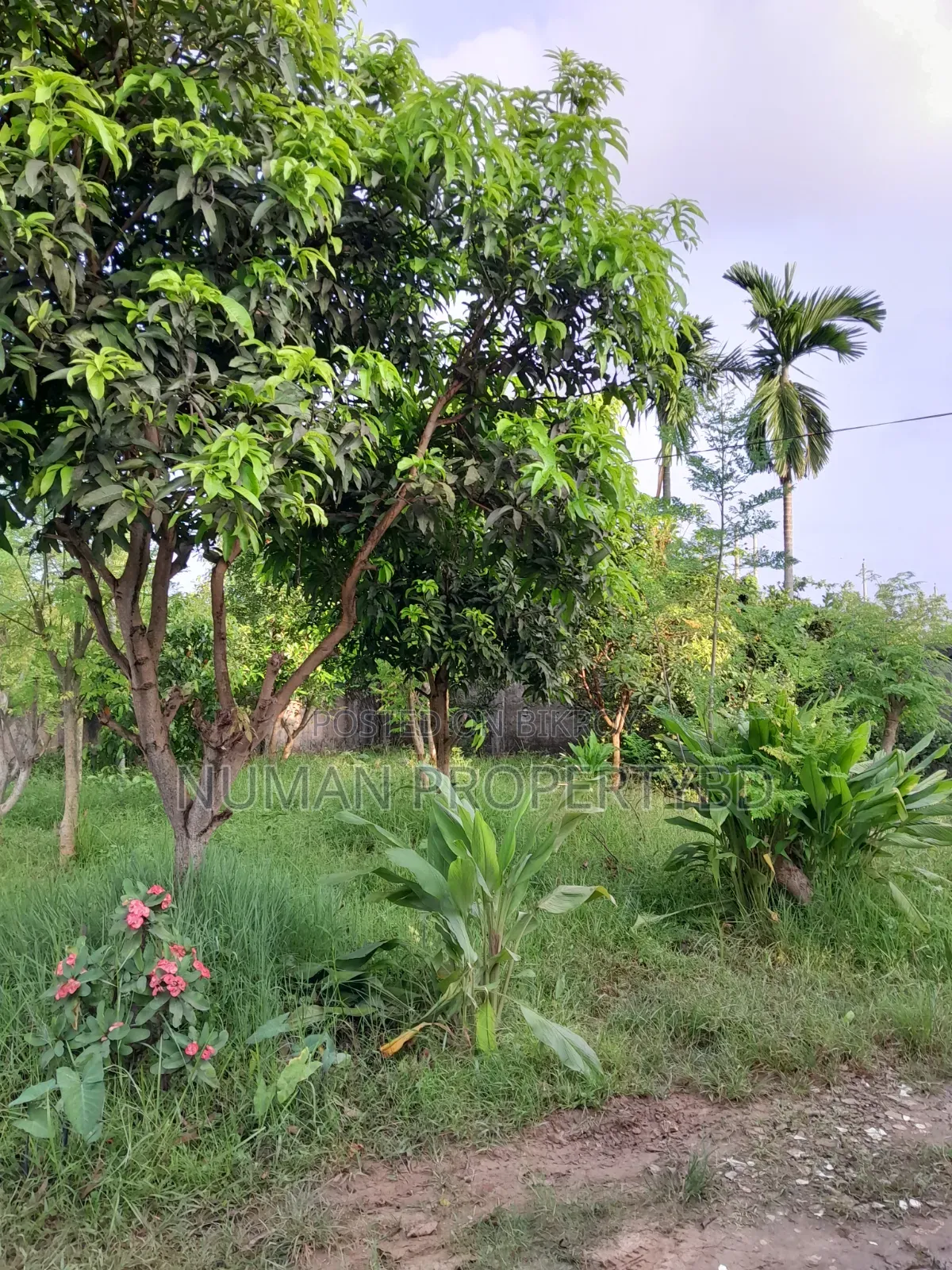 2bdrm Villa in Jalshiri Abason for rent