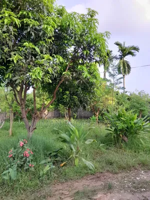 2bdrm Villa in Jalshiri Abason for rent