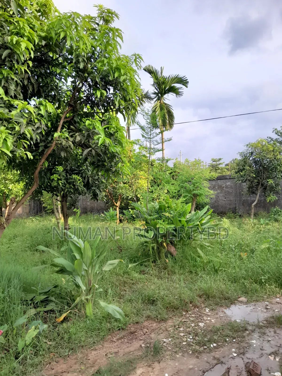 2bdrm Villa in Jalshiri Abason for rent