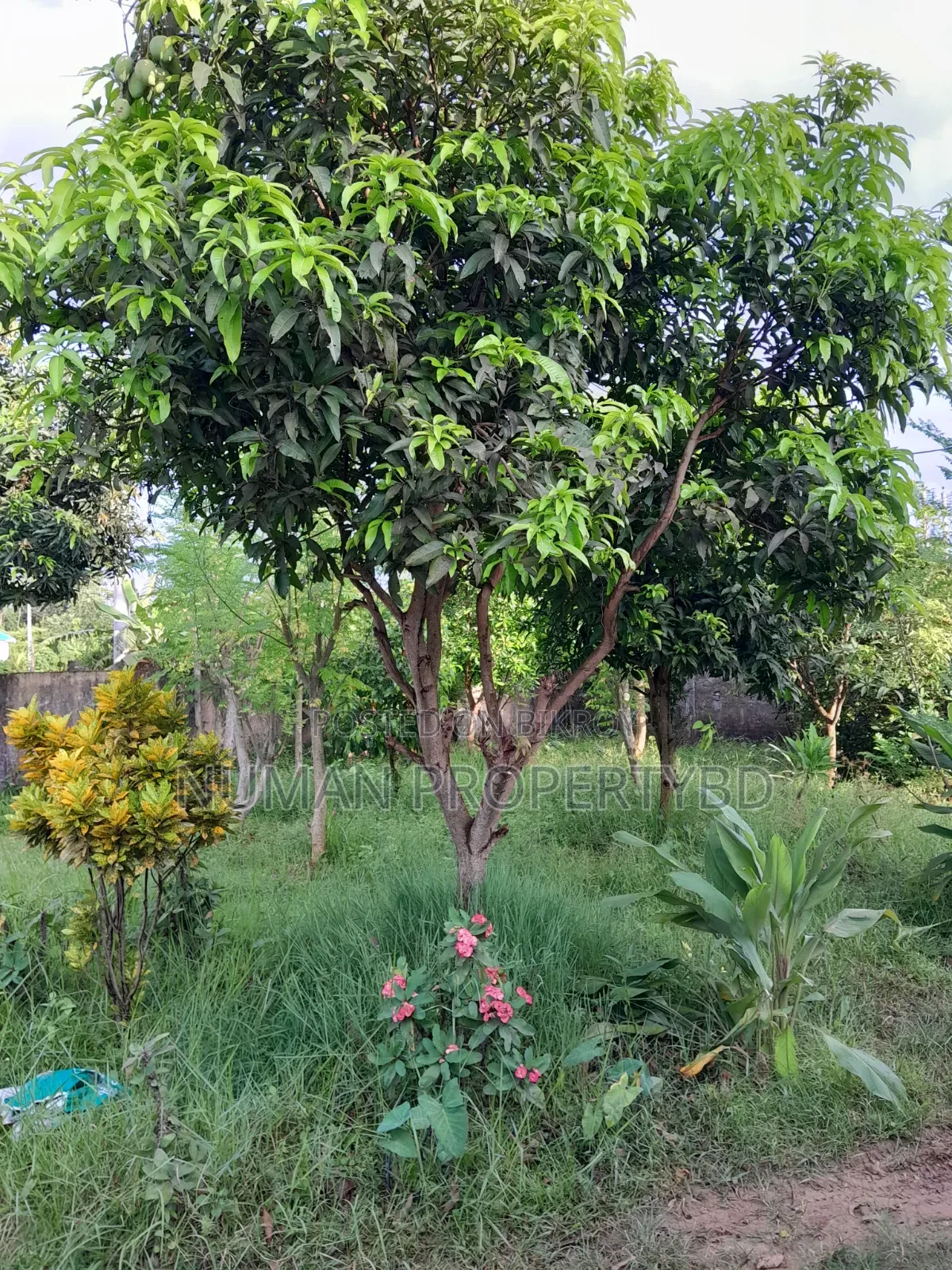 2bdrm Villa in Jalshiri Abason for rent