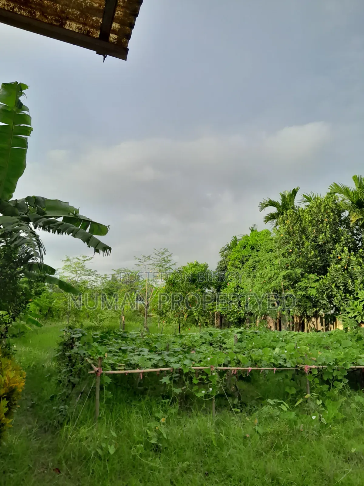 2bdrm Villa in Jalshiri Abason for rent