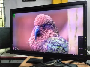 HP Lp24802x 100 Fresh Monitor
