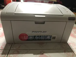Pentum Printer  Koria New.