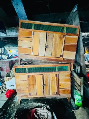 Khat or Box