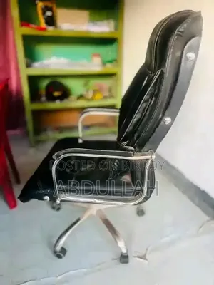 Steel Body Chair