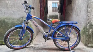 Bicycle for children, if anyone is interested in taking this