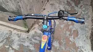 Bicycle for children, if anyone is interested in taking this