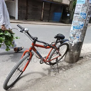 Phoenix Bicycle for Sale