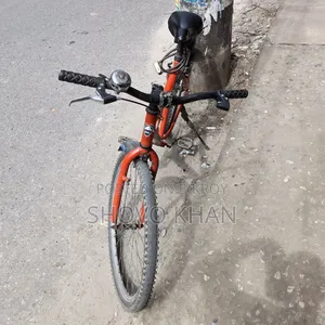 Phoenix Bicycle for Sale