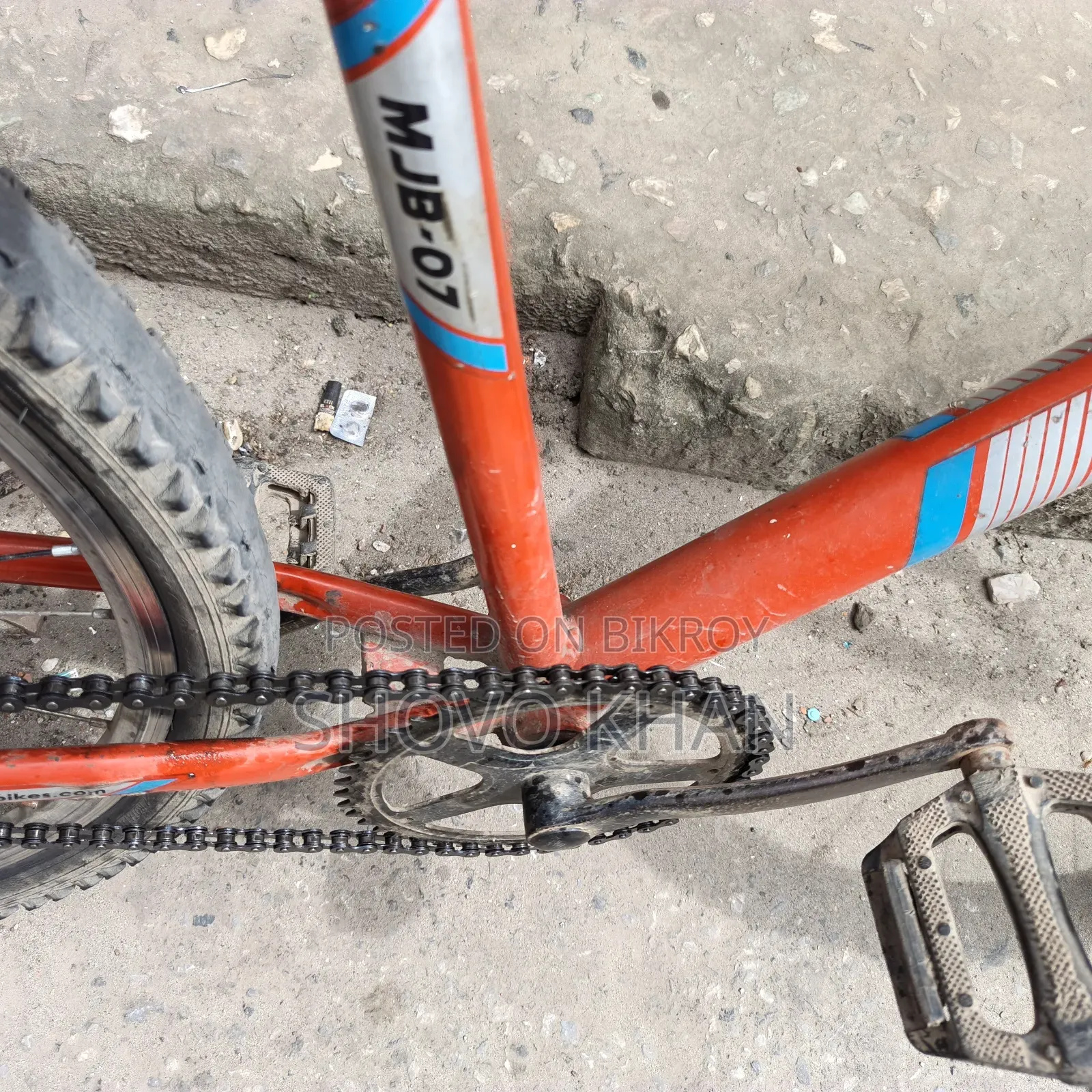Phoenix Bicycle for Sale