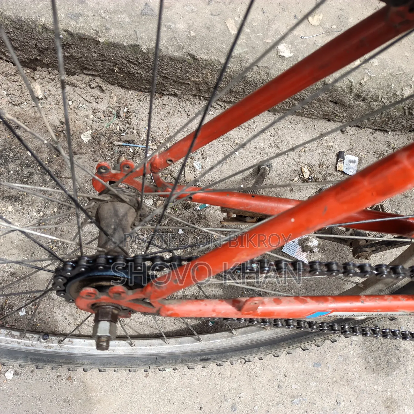 Phoenix Bicycle for Sale
