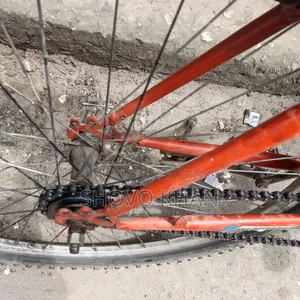 Phoenix Bicycle for Sale