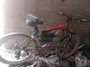 ইলেকট্রিক বাইসাইকেল /Electric Cycle