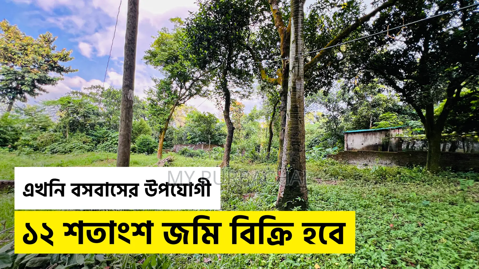 12 Decimal Land for Sale Near Purbachal