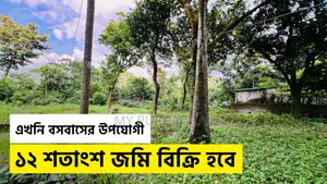 12 Decimal Land for Sale Near Purbachal