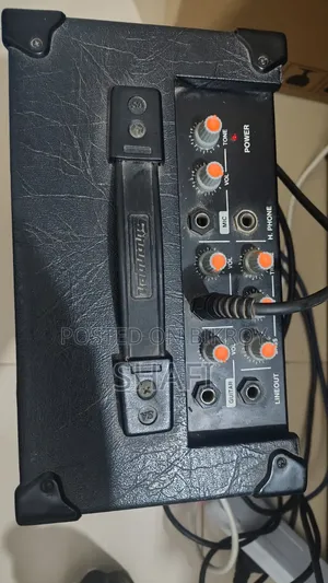 Stranger Musical Amplifier, C-20