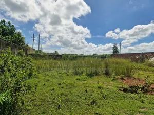 Purbachal Sector -10 East Facing Allotted Plot