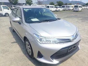 Toyota Axio 2021 Silver
