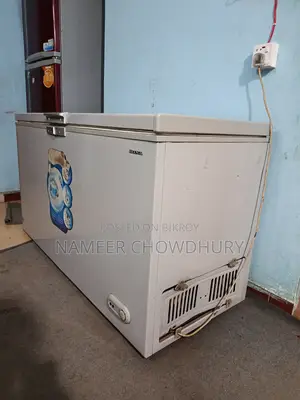 Deep Fridge for Sell