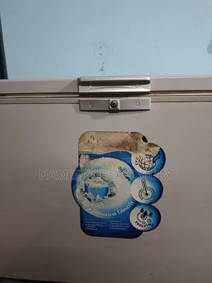 Deep Fridge for Sell