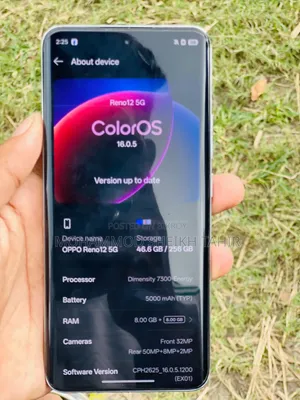Oppo Reno 12 5G 256 GB Silver