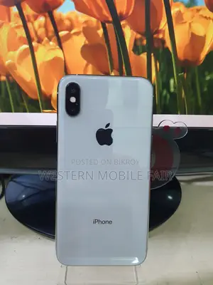 Apple iPhone X 256 GB Silver