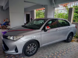 Toyota Axio 2021 Silver