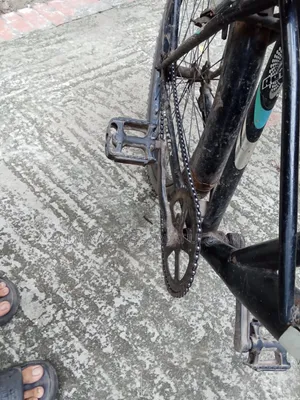 Newage Reflex 110 Running Bicycle | জরুরি বিক্রি | দাম আলোচনা সাপেক্ষে