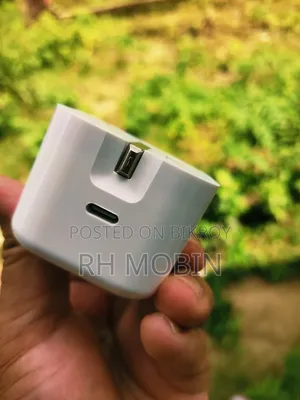 Apple Original Charger