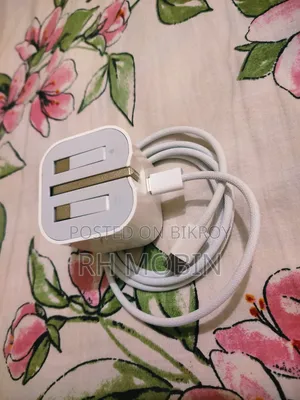 Apple Original Charger