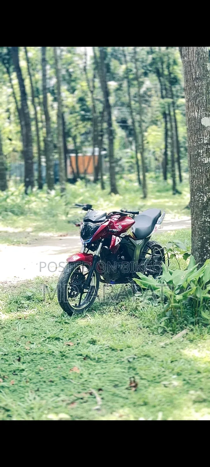 সুজুকি জিক্সার ২০২২ রেড