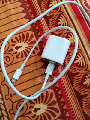 Apple Charger